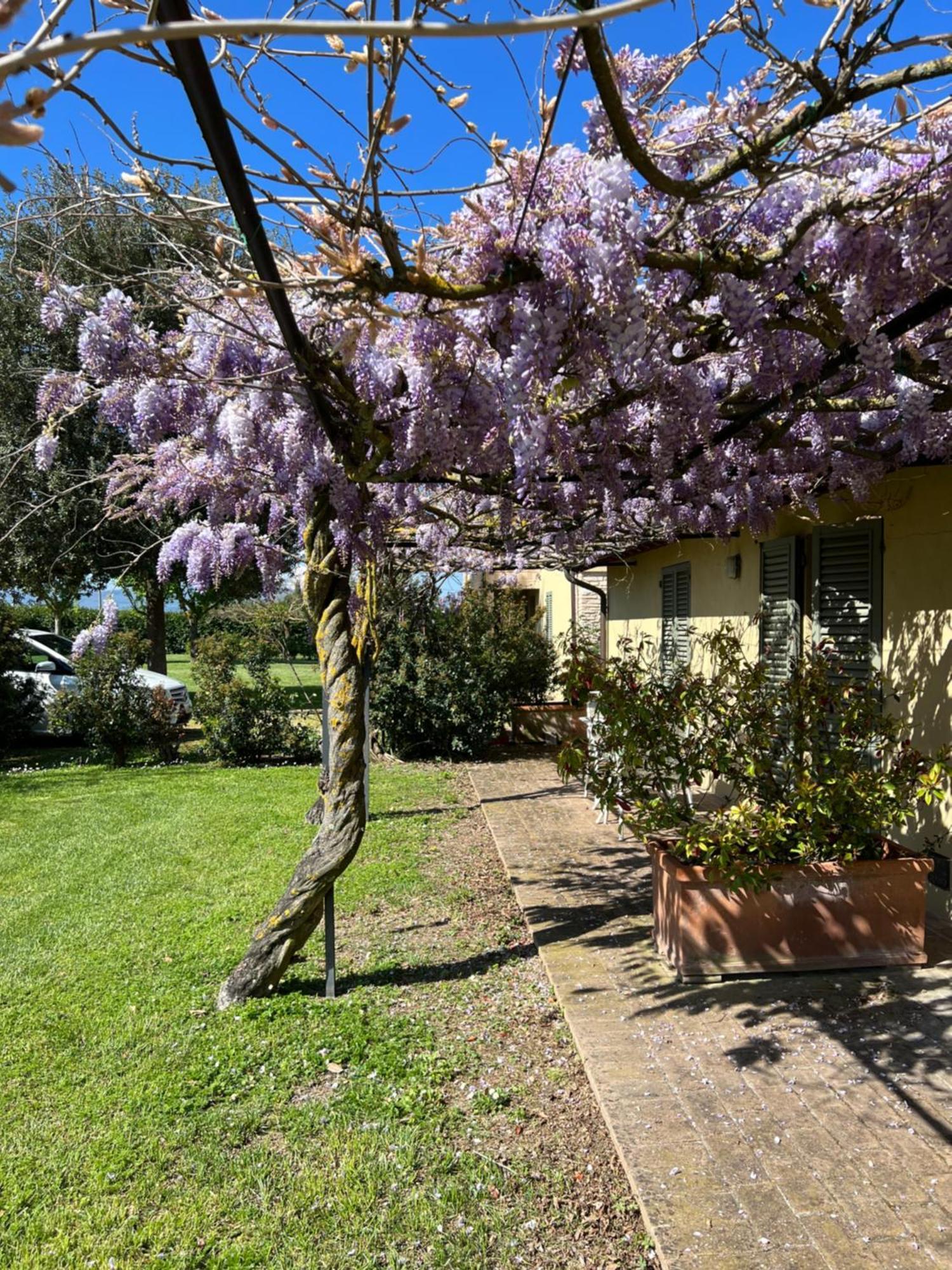 Residenza Isabella Casa de hóspedes Spello Exterior foto