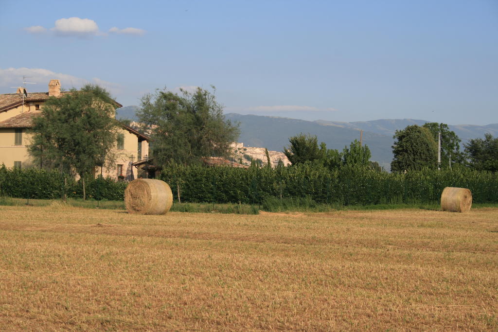 Residenza Isabella Casa de hóspedes Spello Exterior foto